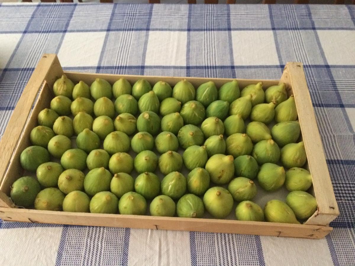 Pozzo Medievale Prignano Cilento Екстериор снимка